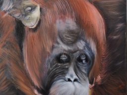 Maman-orang-outan